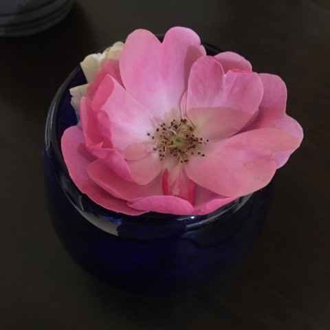 {9B85F83D-77F7-41ED-A08C-E7858A0496CA}